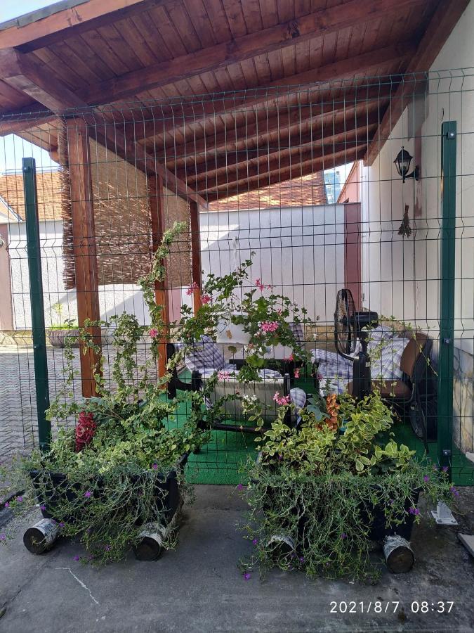 Apartman Tia Osijek Buitenkant foto